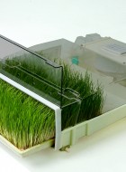 EasyGreen MikroFarm Sprouter